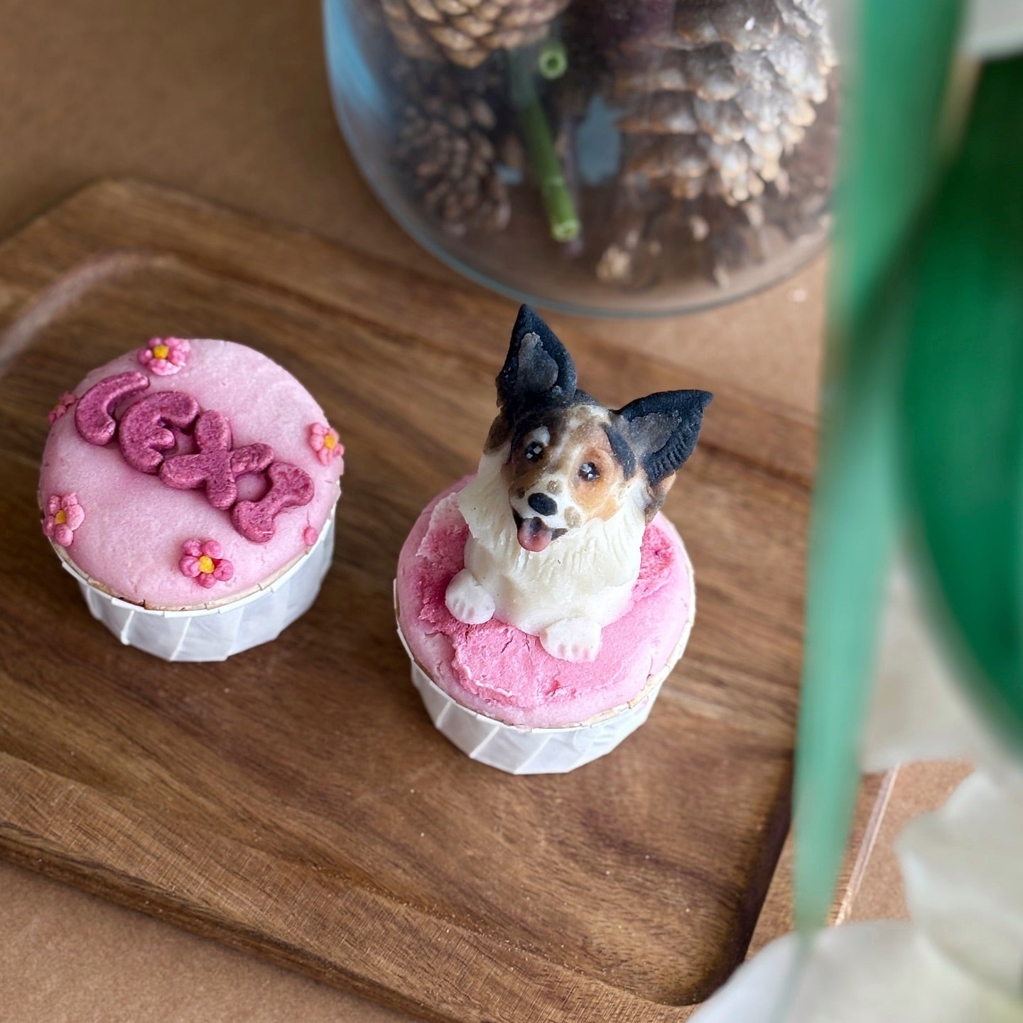 Cupcakes Set