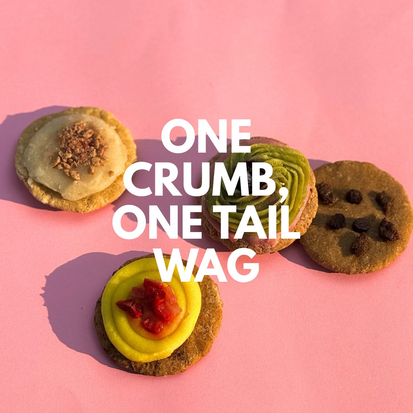 Colorful cookies on a pink background with text 'ONE CRUMB, ONE TAIL WAG'.