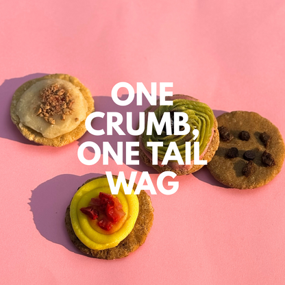 Colorful cookies on a pink background with text 'ONE CRUMB, ONE TAIL WAG'.