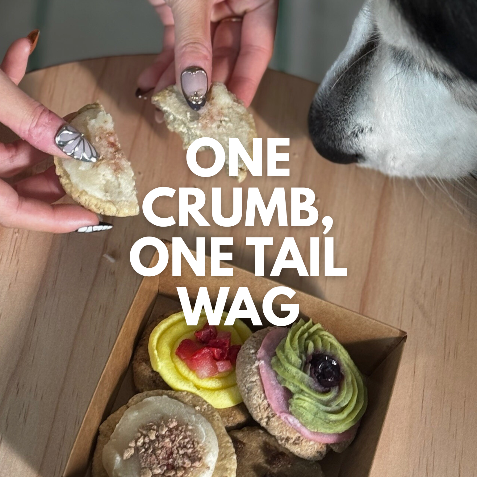 Person offering a crumb to a dog with text 'One crumb, one tail wag' over a box of small pastries.