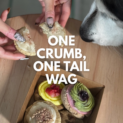 Person offering a crumb to a dog with text 'One crumb, one tail wag' over a box of small pastries.