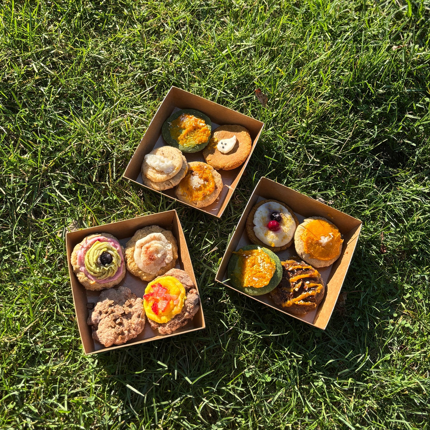 The Cookies Flight – Dog-Friendly Crumble Box(Freshly Made, 300g)